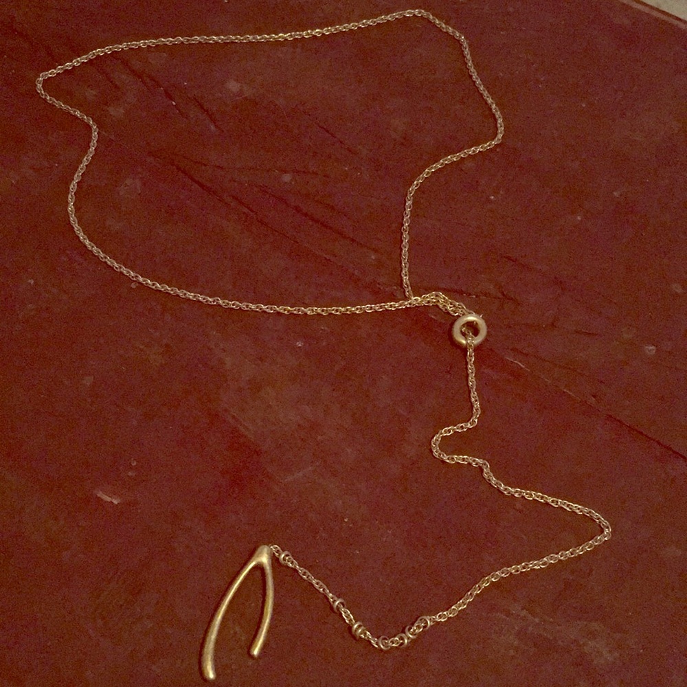 Madewell Wishbone Lariat Necklace.